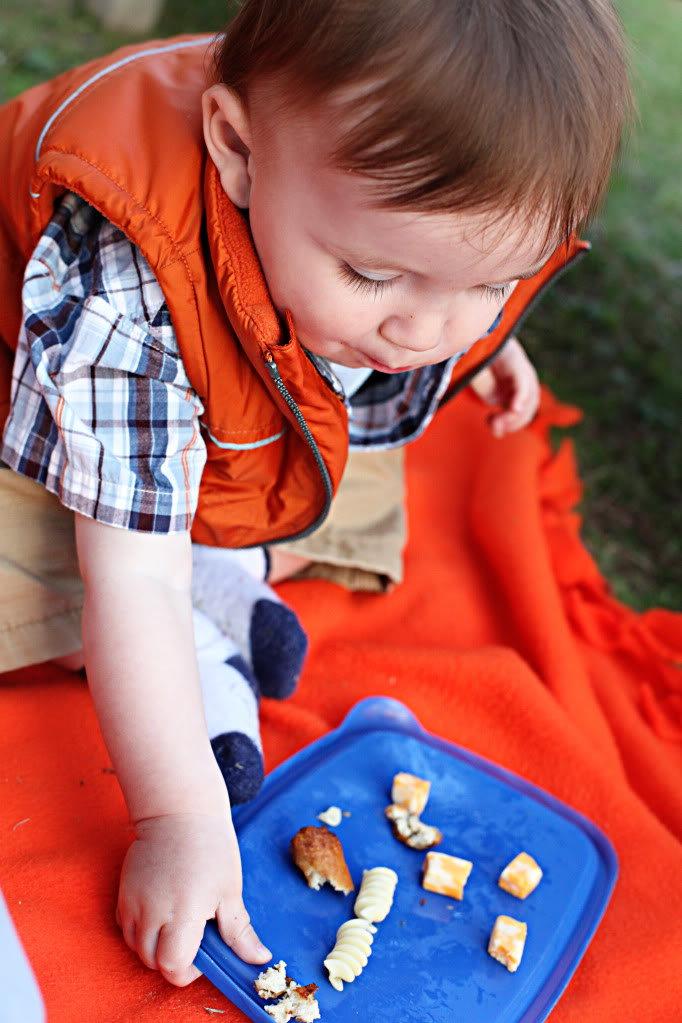 Picnic in the Park