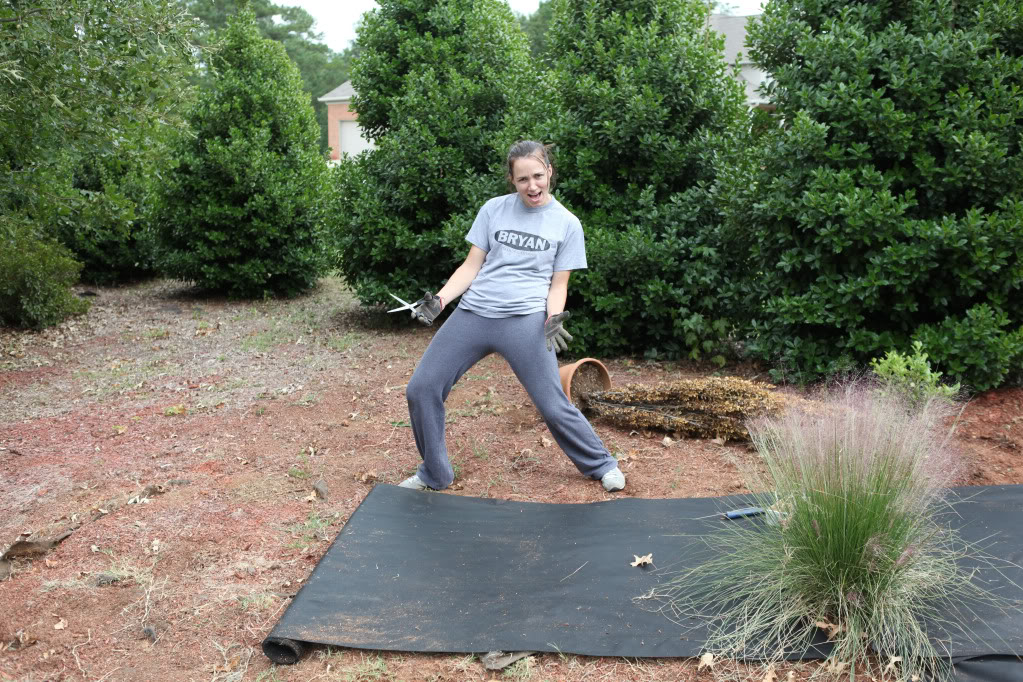 Making the Garden Beds