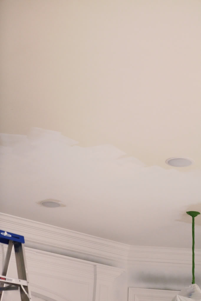 How To Paint A Ceiling Bower Power