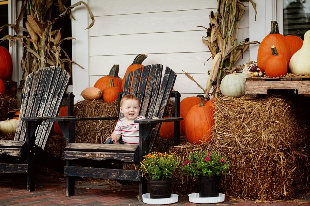 1 baby + 1 pumpkin display = priceless