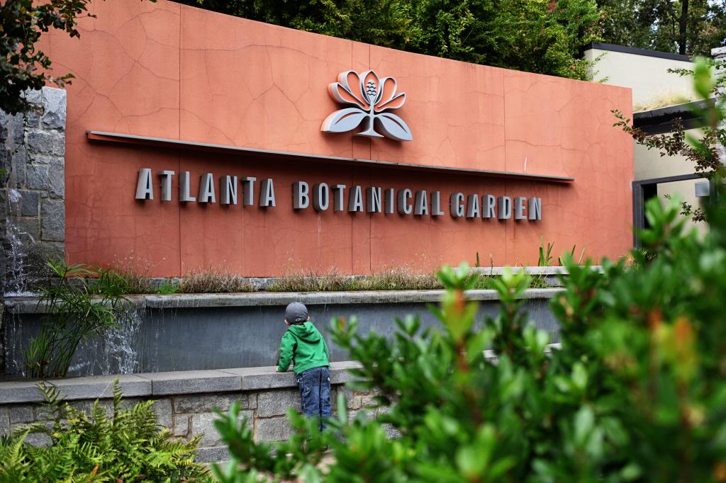 Atlanta Botanical Gardens Bower Power