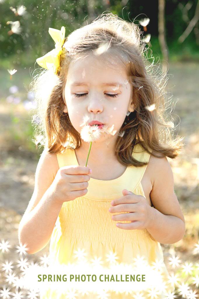 Spring Photo Challenge