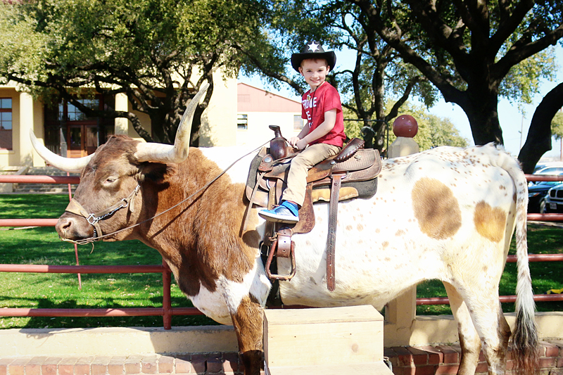 Fort Worth Stockyards - Travel Journal - Bower Power