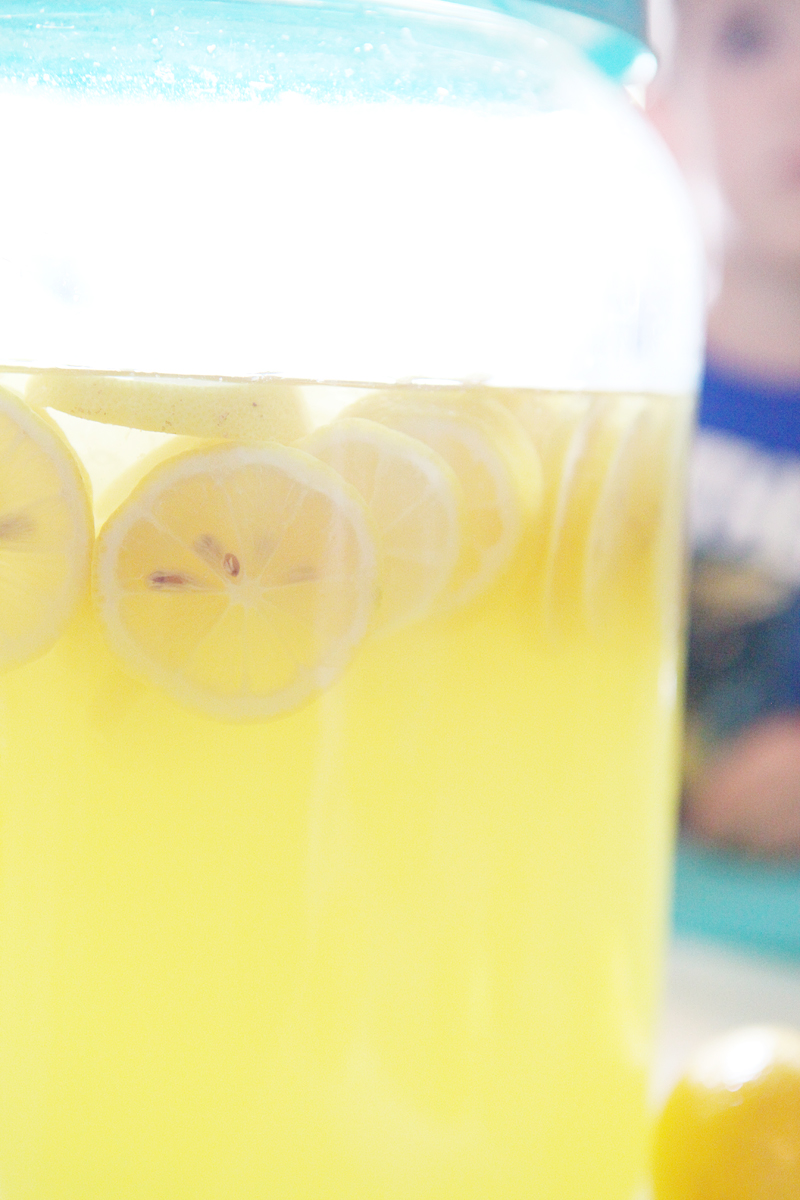 Lemonade Stand - Bower Power