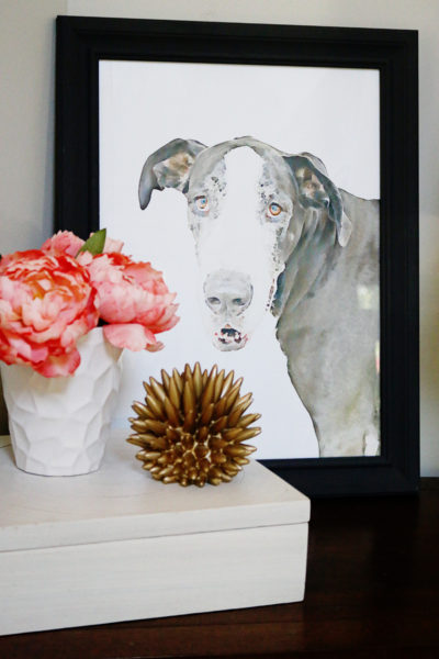 Watercolor Pet Portraits