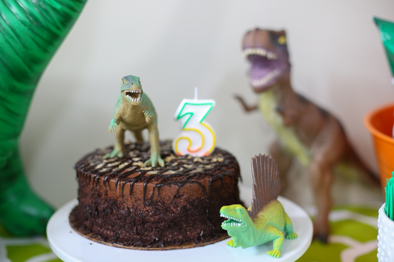Dinosaur Birthday Party LJ Bower Power-2
