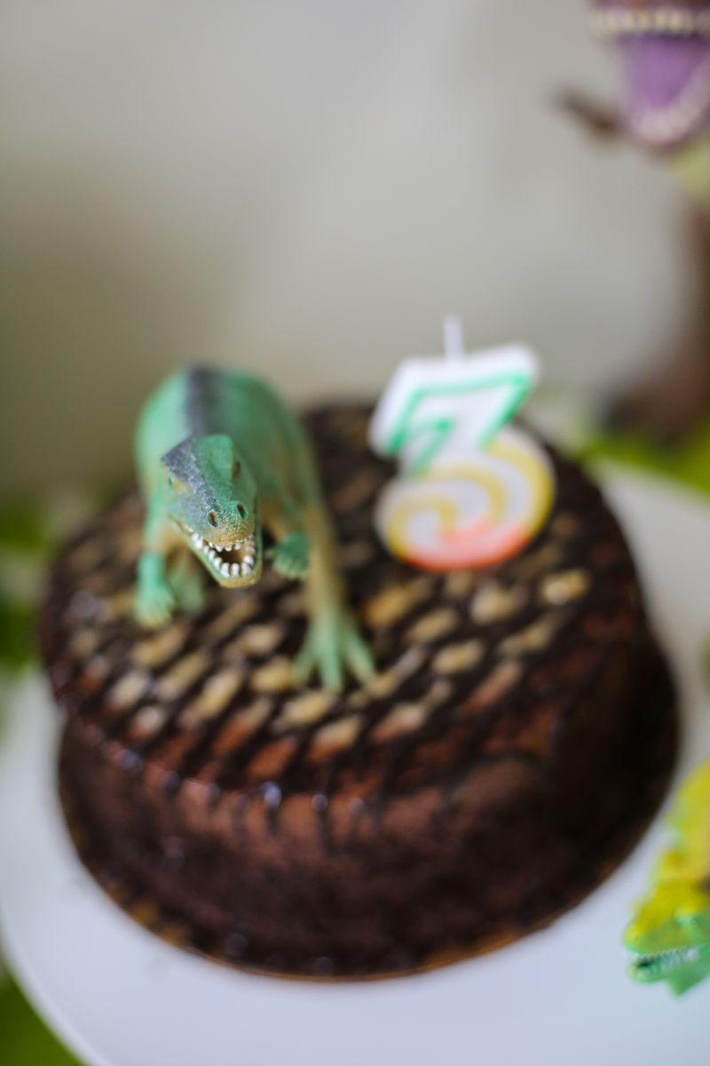 Dinosaur Birthday Party LJ Bower Power-4
