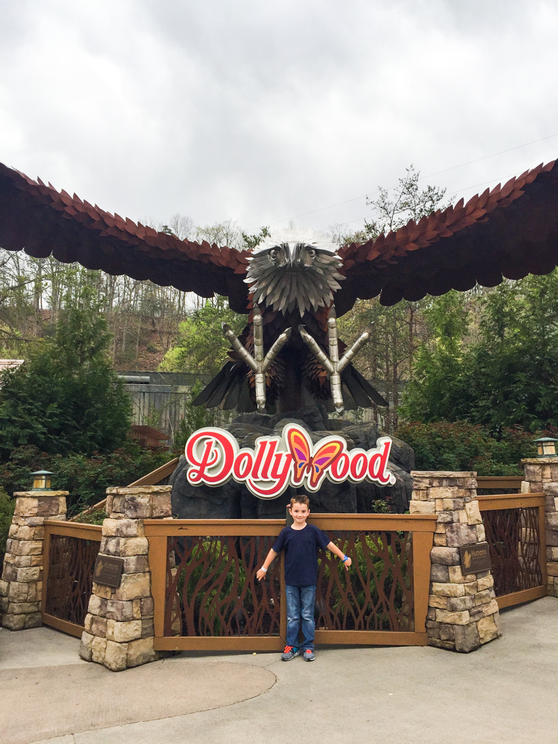 DollyWood Pigeon Forge Bower Power-76