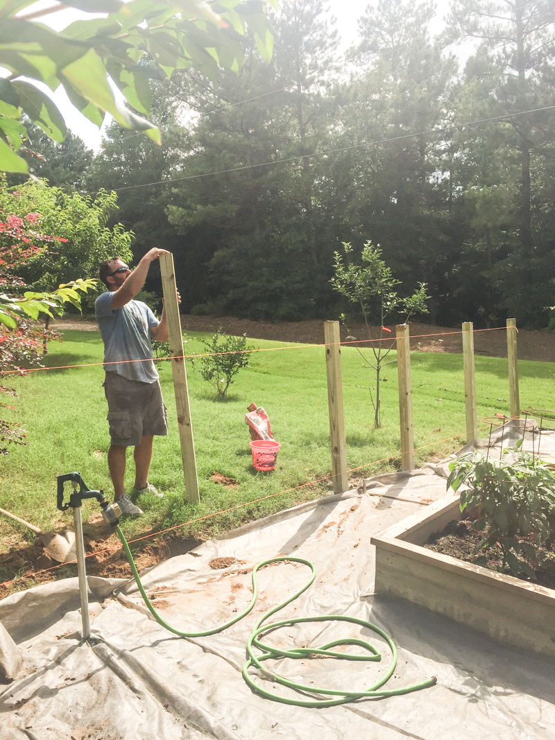 setting garden fence posts - Bower Power-8