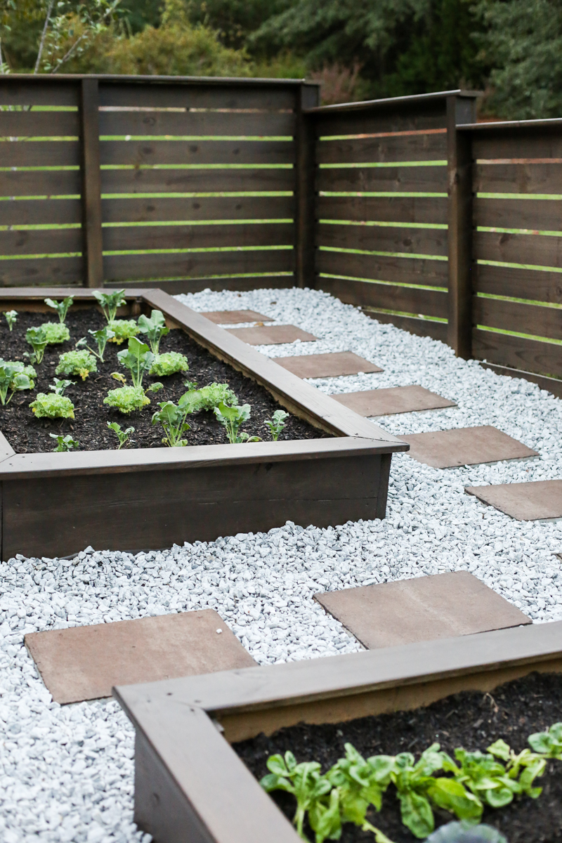 Concrete shop stepping stones