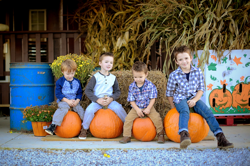 Family Fall Photos Pumpkins - Bower Power-21
