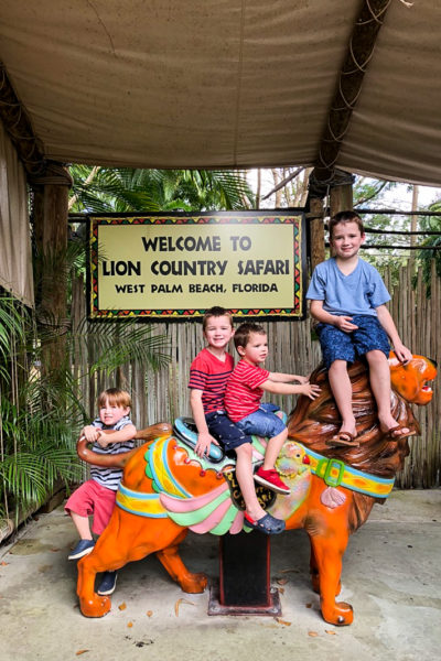 Lion Country Safari – Travel Journal