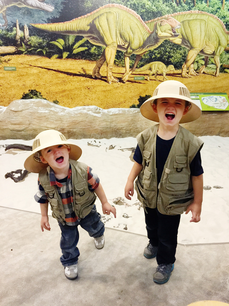 ark creative discovery museum ark creative discovery museum