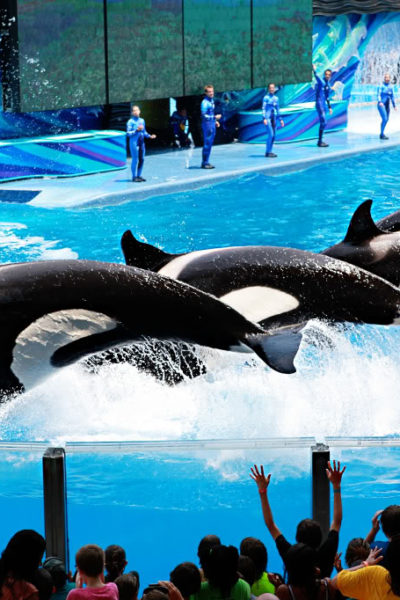 Sea World – Travel Journal