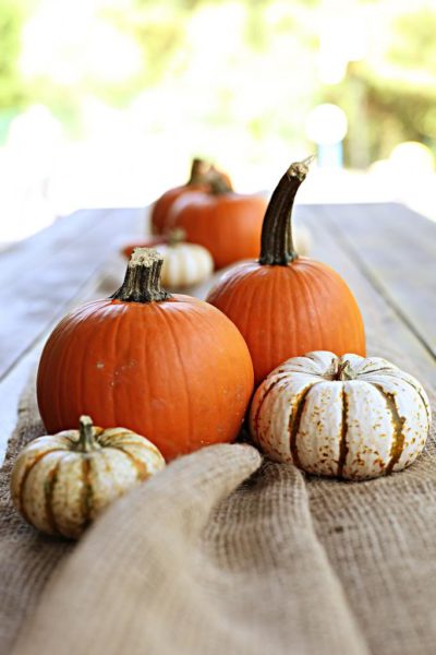 Pumpkin Painting Party