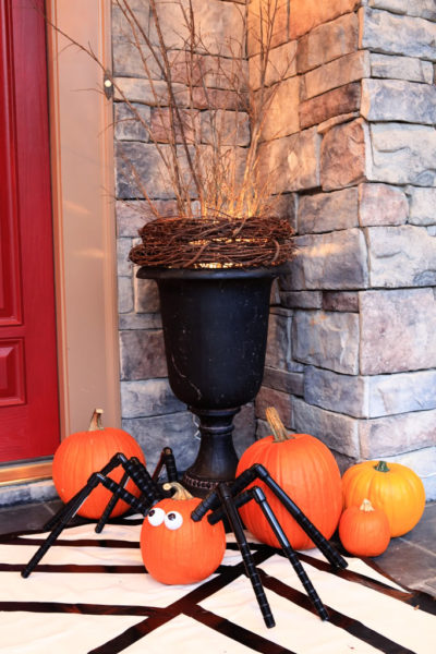 Arachnoporch (our fall porch 2011)